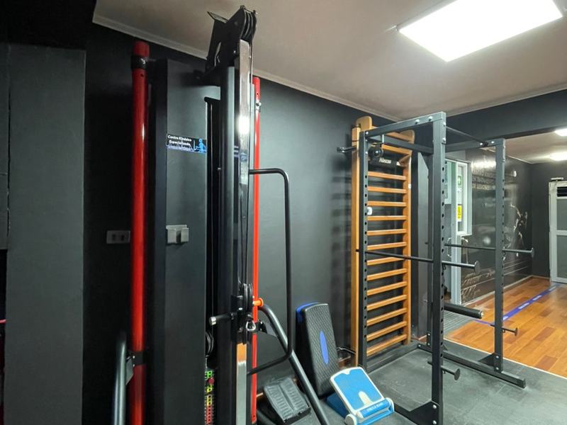 Espaldera y rack de entrenamiento